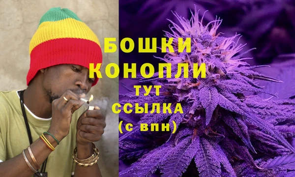 соль ск Пестово
