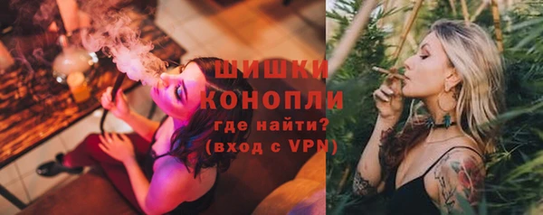 соль ск Пестово