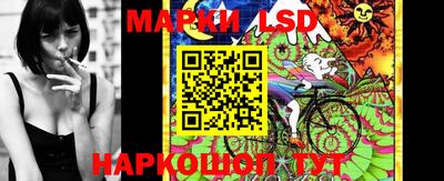 spice Изобильный